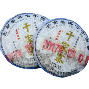 La Teiera Eclettica Linglong Xiaobing Pu-erh Sheng 2017 Fashion