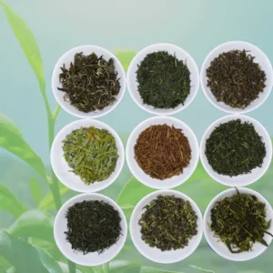 La Teiera Eclettica Selezione Green Discount
